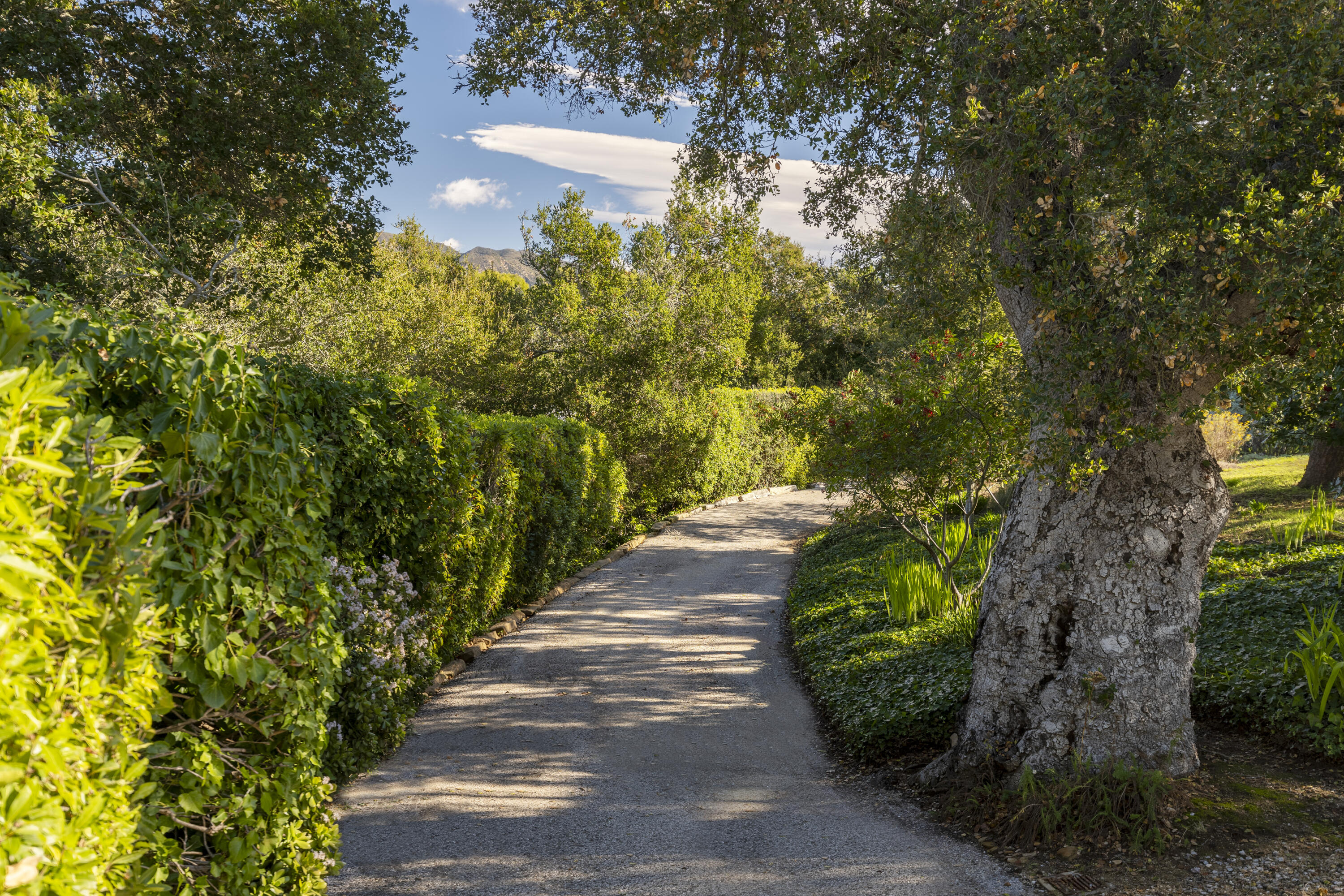 1138 Mission Ridge Road Santa Barbara, CA 93103 - Photo 49 of 54 a view of a pathway of a yard