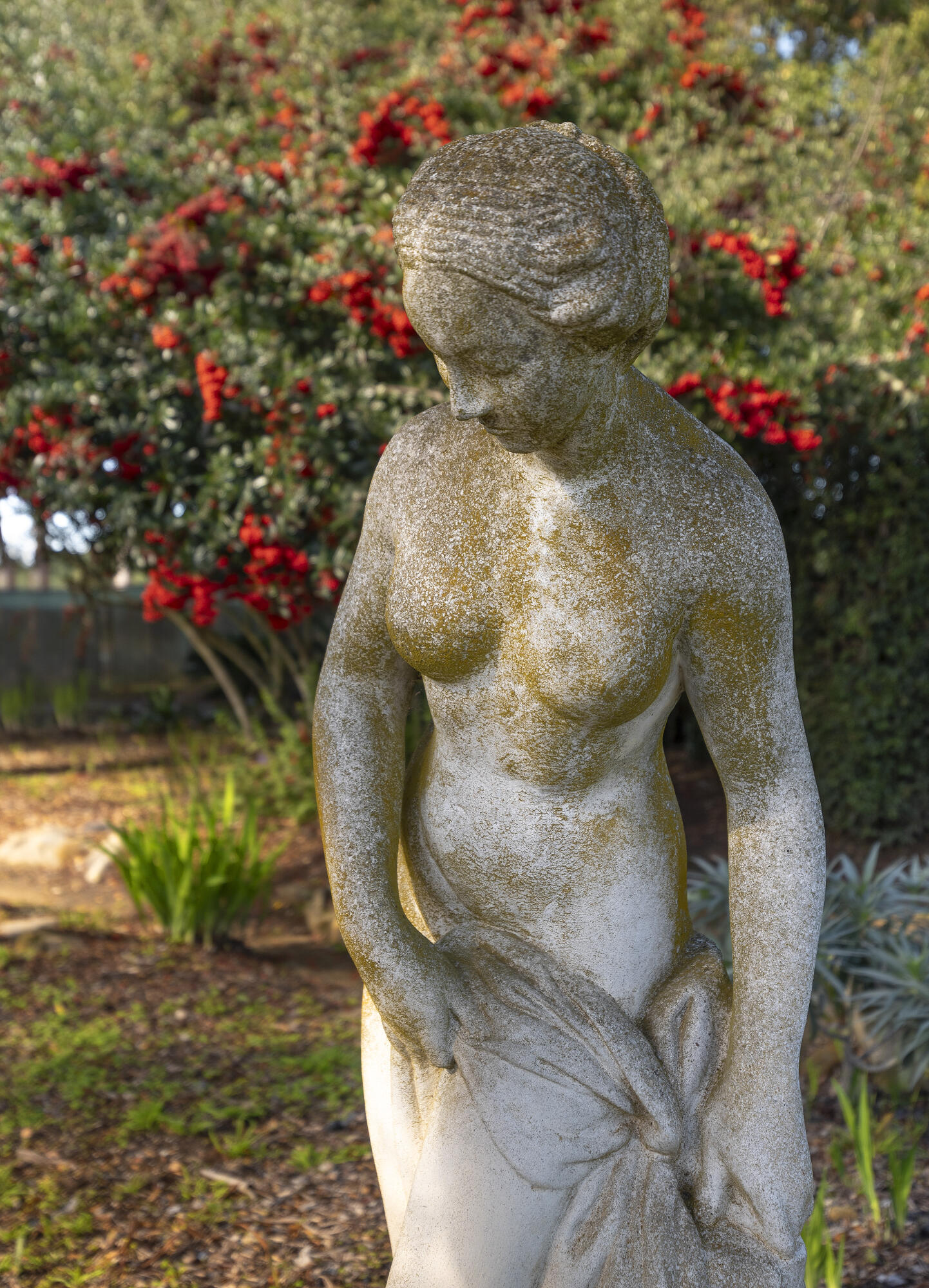 1138 Mission Ridge Road Santa Barbara, CA 93103 - Photo 54 of 54 a picture of flowers
