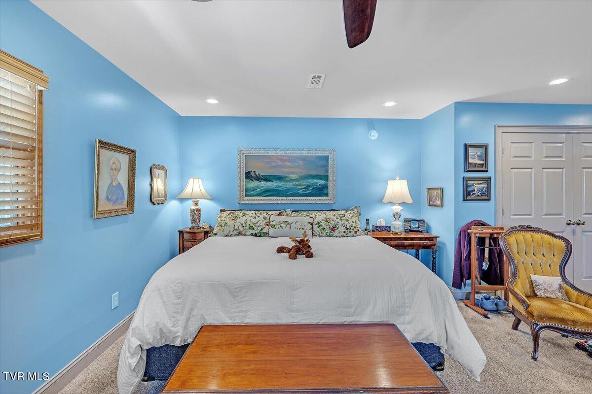 112 Spruce Street Greeneville, TN 37745 - Photo 26 of 63 17-R61_9665