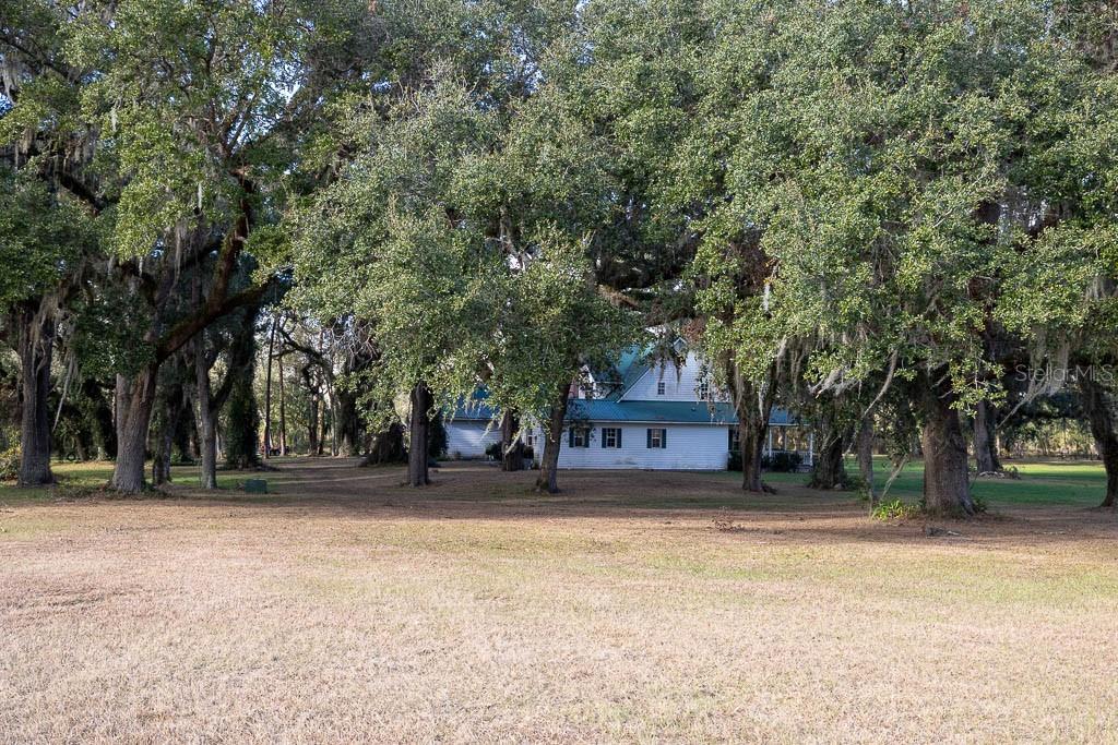 993 Cr 722 Webster Webster, FL 33597 - Photo 3 of 96