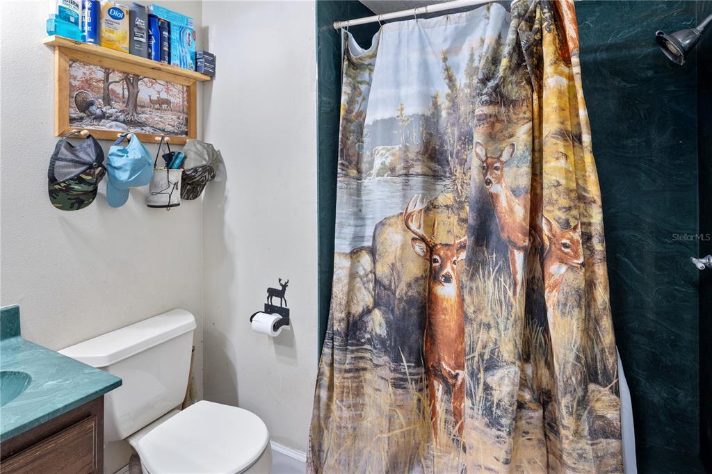 993 Cr 722 Webster Webster, FL 33597 - Photo 33 of 96