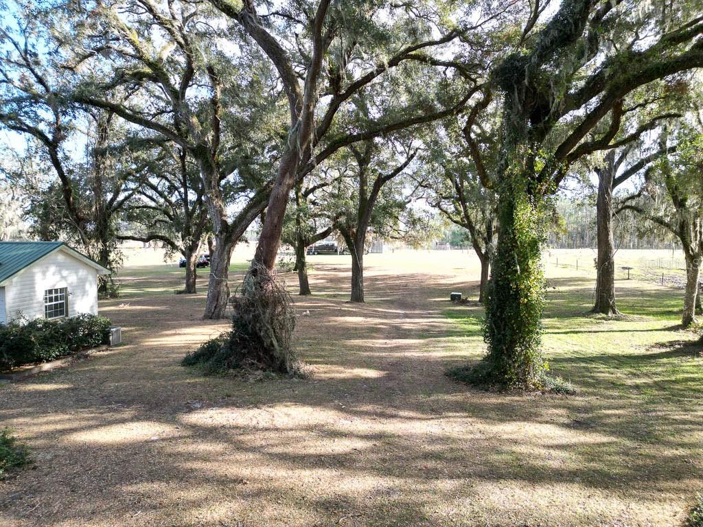 993 Cr 722 Webster Webster, FL 33597 - Photo 45 of 96