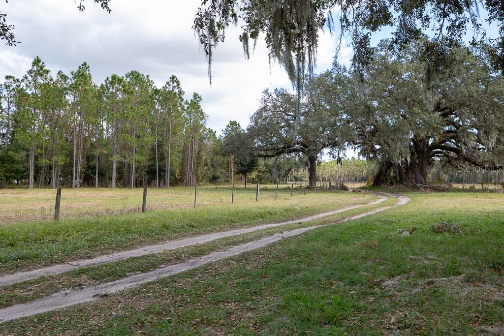 993 Cr 722 Webster Webster, FL 33597 - Photo 46 of 96