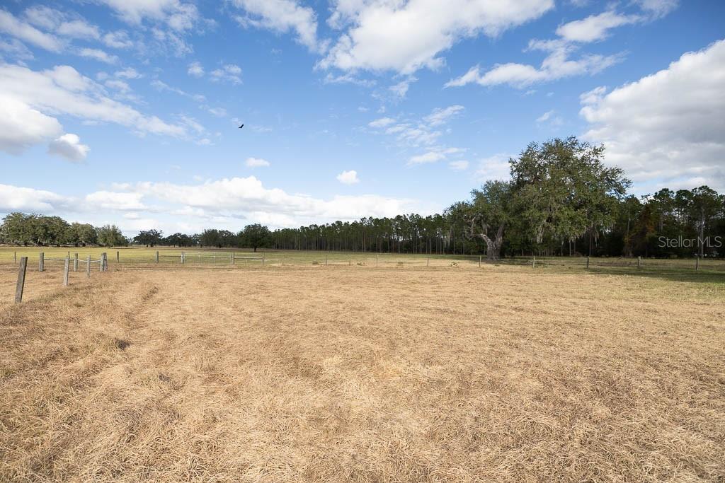 993 Cr 722 Webster Webster, FL 33597 - Photo 50 of 96