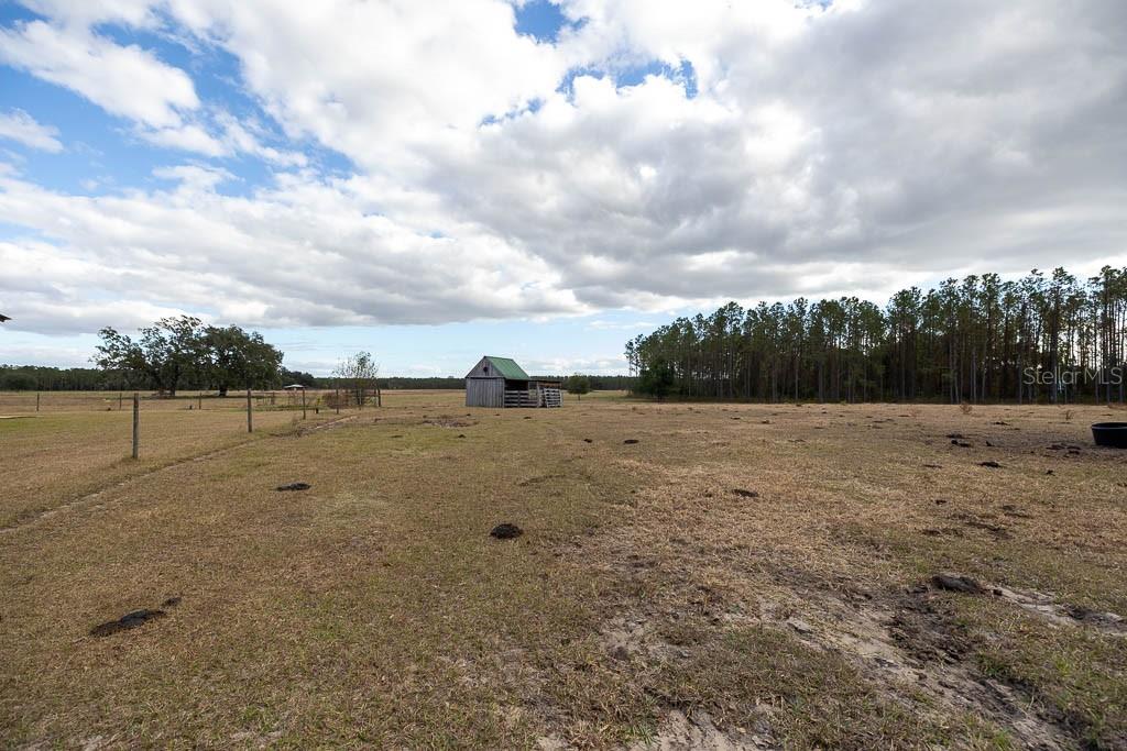 993 Cr 722 Webster Webster, FL 33597 - Photo 55 of 96 a view of a dry yard with wooden fence