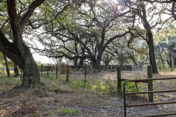 $11,750,000 | 993 Cr 722 Webster, Webster, FL 33597