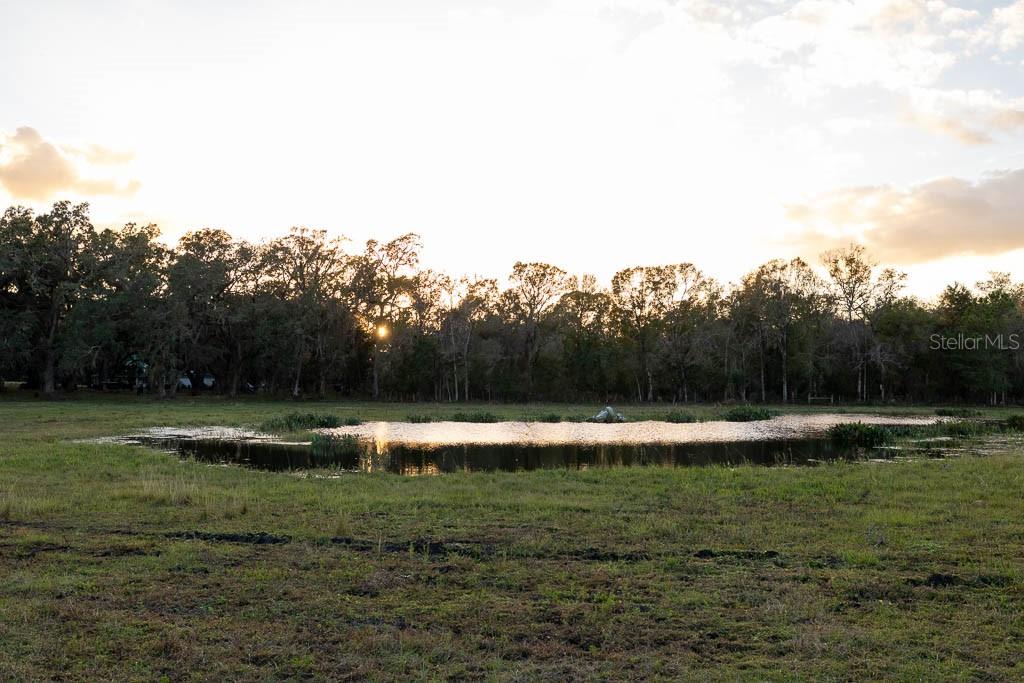 993 Cr 722 Webster Webster, FL 33597 - Photo 61 of 96