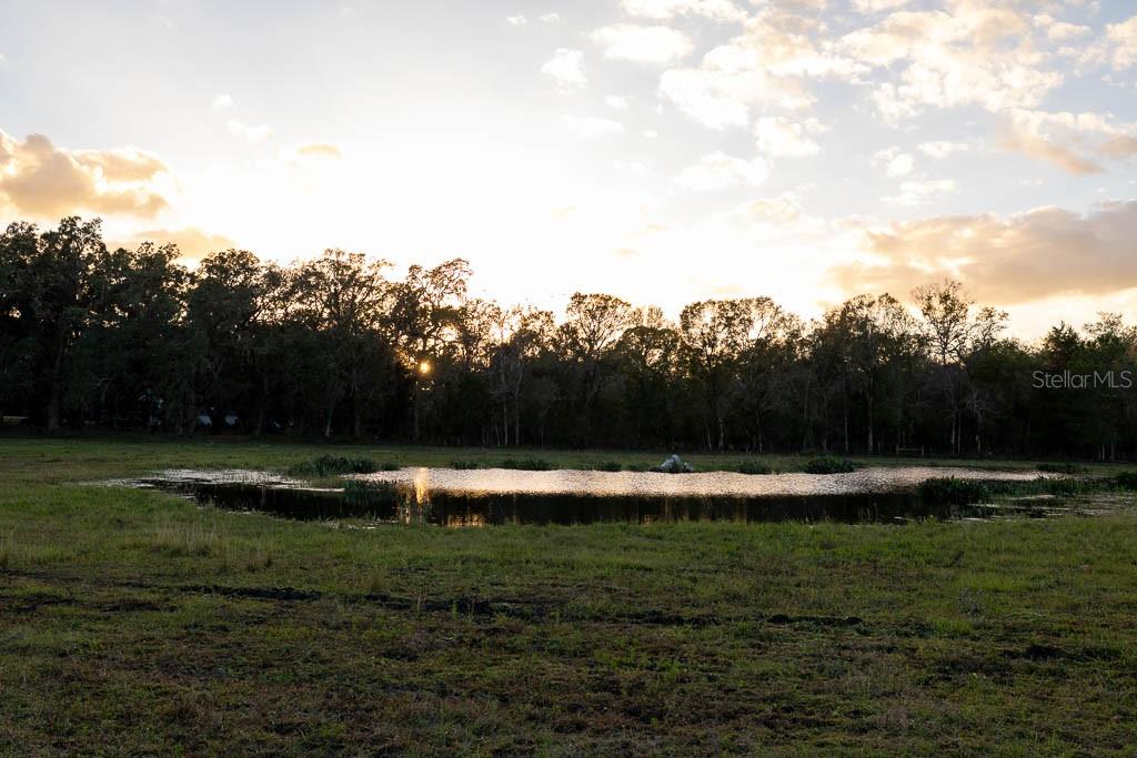 993 Cr 722 Webster Webster, FL 33597 - Photo 62 of 96