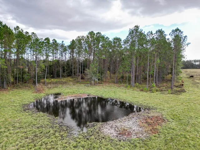 $12,750,000 | 993 Cr 722 Webster, Webster, FL 33597