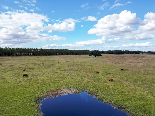 $11,750,000 | 993 Cr 722 Webster, Webster, FL 33597