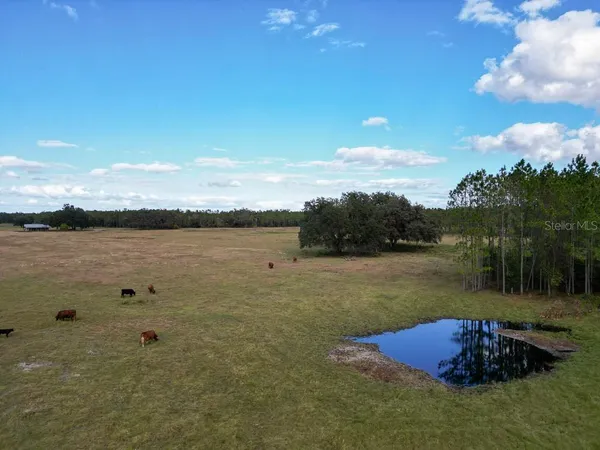 $11,750,000 | 993 Cr 722 Webster, Webster, FL 33597