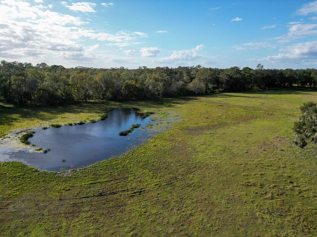 993 Cr 722 Webster Webster, FL 33597 - Photo 90 of 96 a view of a lake with a mountain in the background