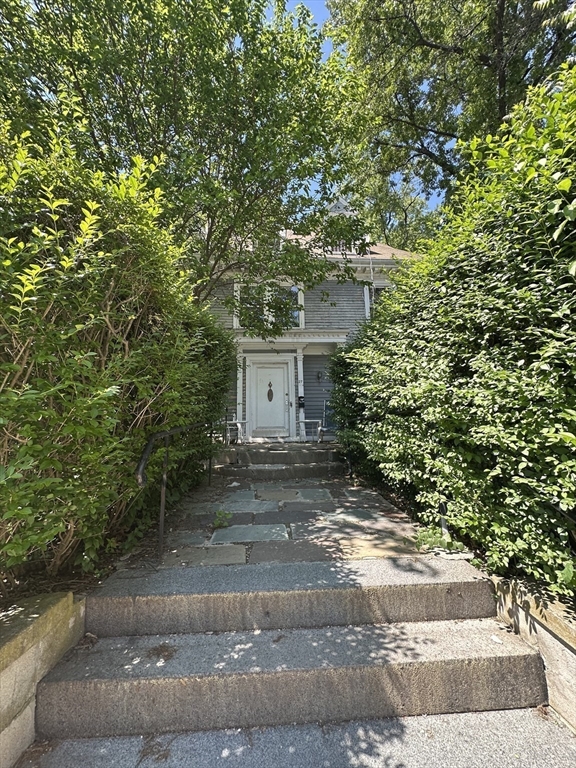 27 Orkney Road, Unit 1 Boston, MA 02135 - Photo 25 of 26 a view of a house with a tree and plants