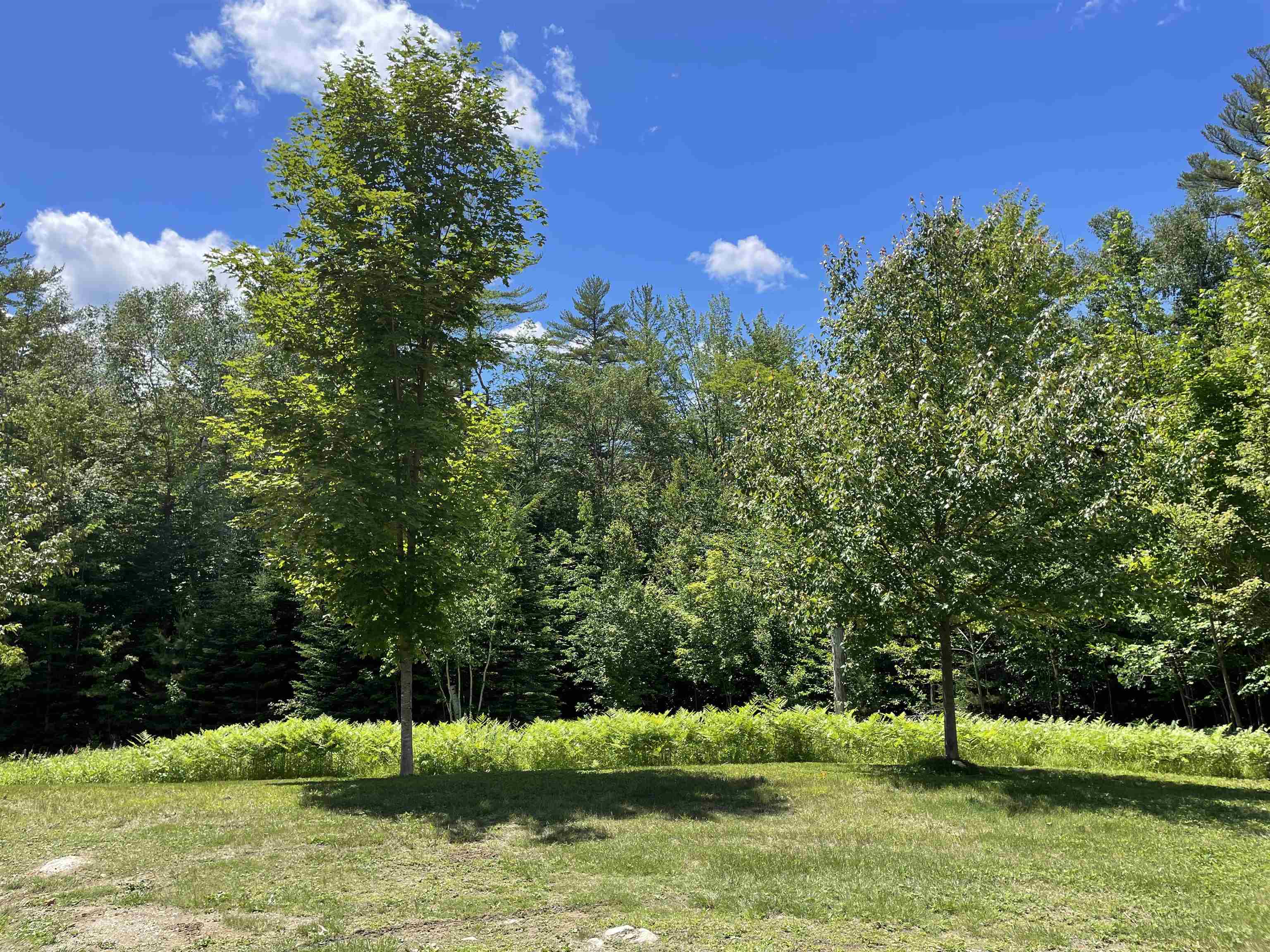 963 Winhall Hollow Road Londonderry, VT 05155 - Photo 3 of 13 Gallery Image 3