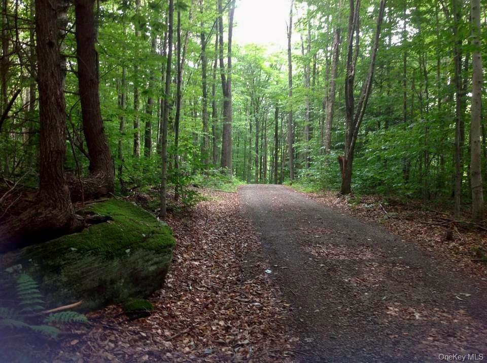 66 Milton Smith Road Long Eddy, NY 12760 - Photo 22 of 25 The private, tree-lined driveway is more than an approach to the home—it's the property's first impression and its lasting farewell, welcoming you with the quiet beauty of the surrounding forest and sending you off with the same sense of peace.