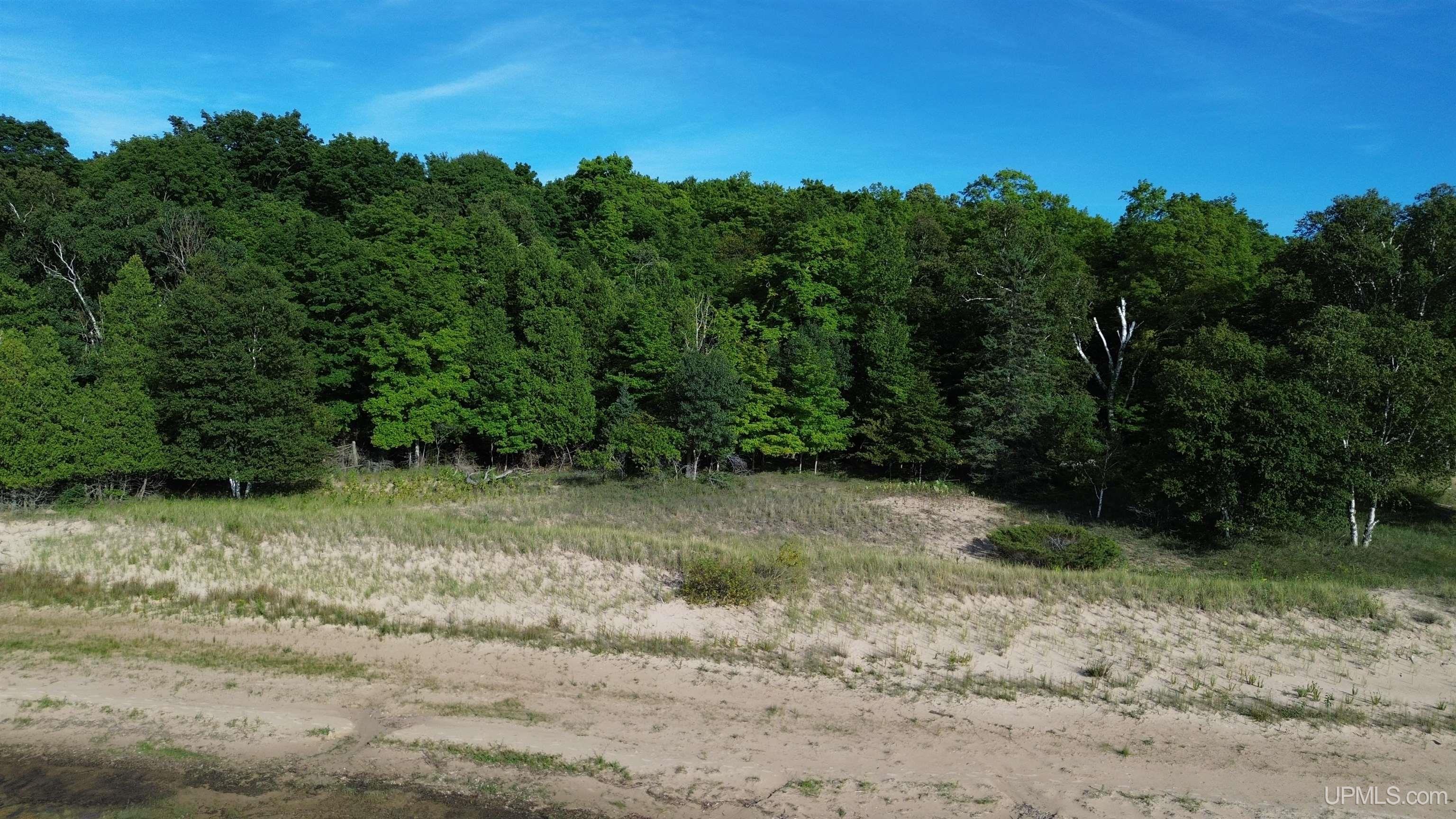 Tbd II Road Garden, MI 49835 - Photo 10 of 42