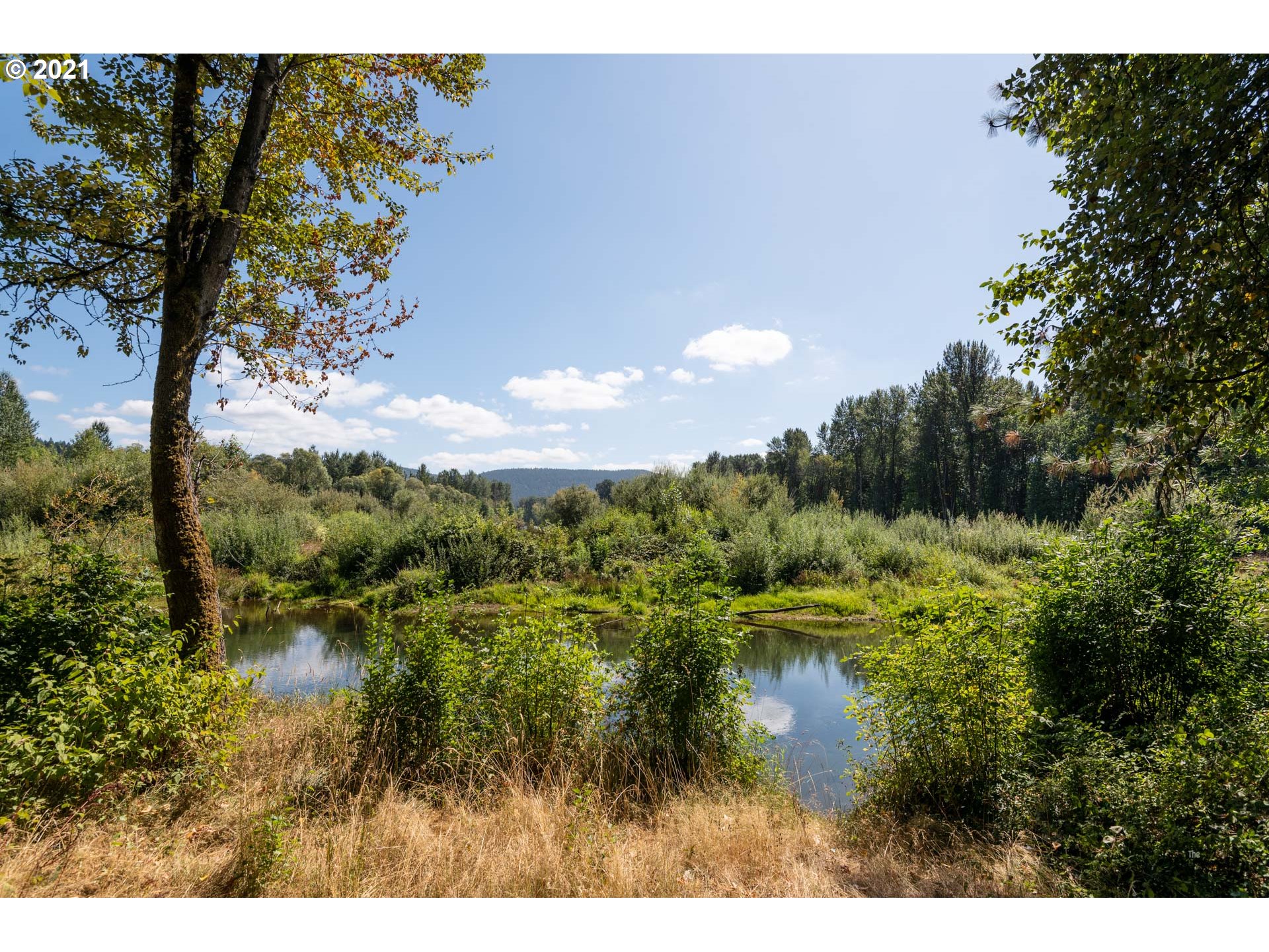 36798 Oak Point Road Springfield, OR 97478 - Photo 24 of 31