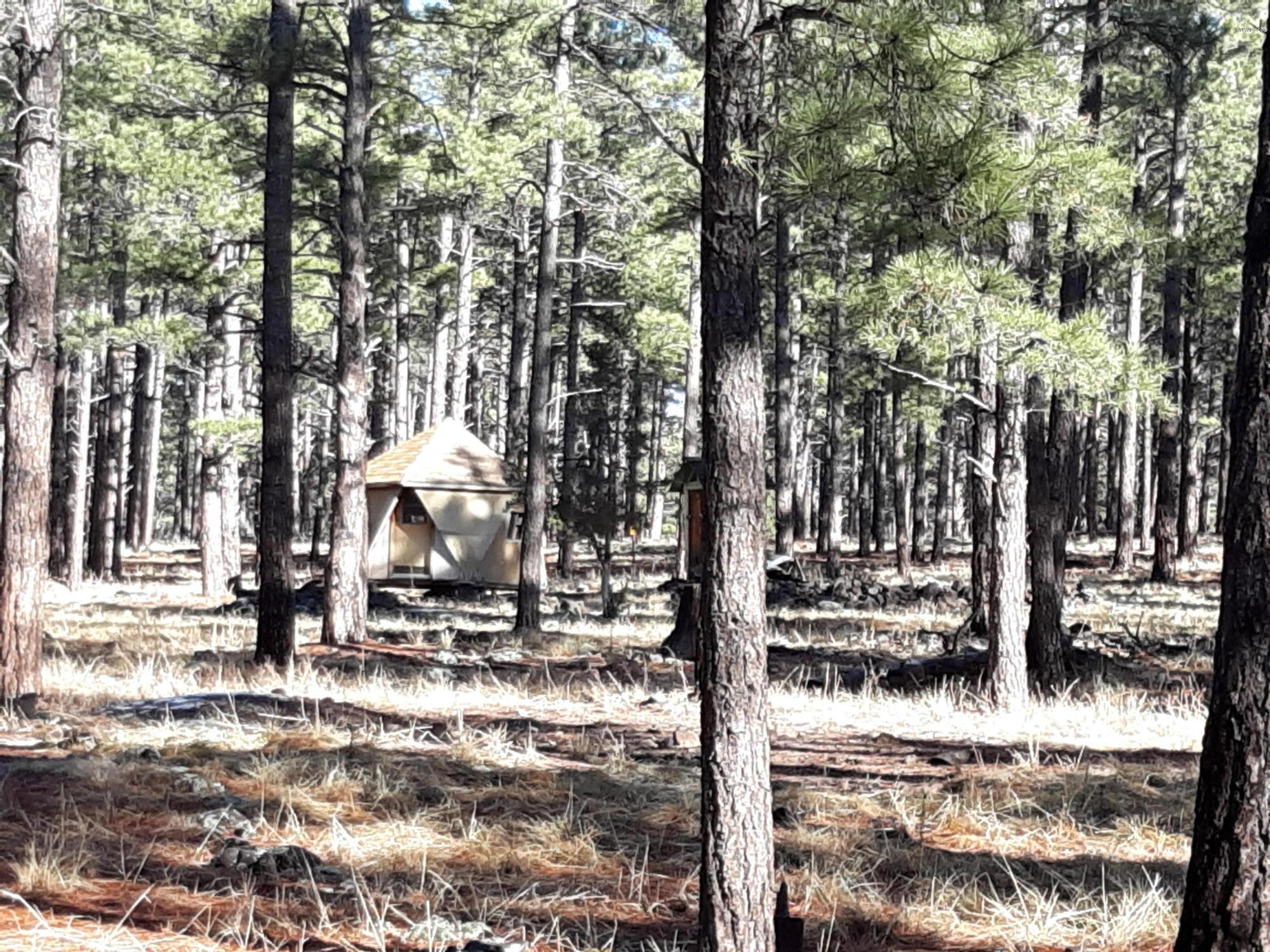 7237 East Robin Hood Road Williams, AZ 86046 - Photo 8 of 9 Robin Hood Pic 5