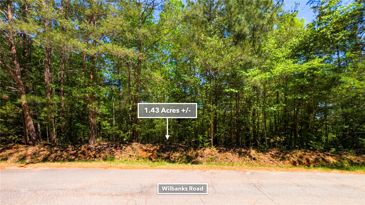 26 Wilbanks Road Seneca, SC 29678 - Photo 33 of 47 This verdant parcel presents an opportunity to build your ideal home amidst nature.