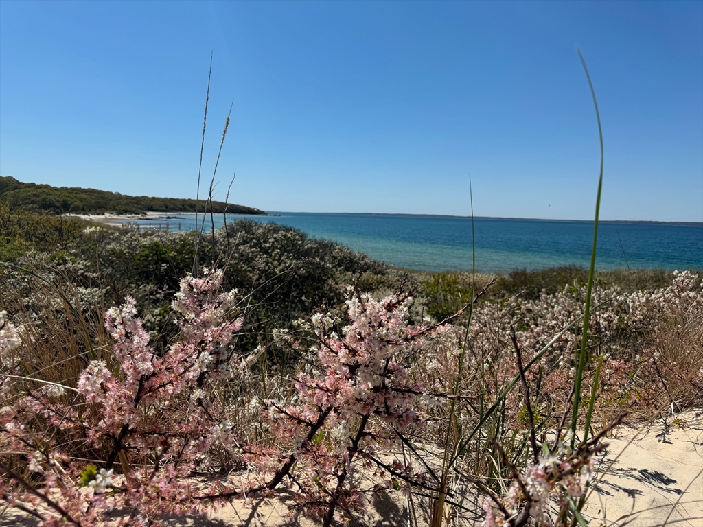 64 Christiantown Road Vineyard Haven, MA 02568 - Photo 41 of 42