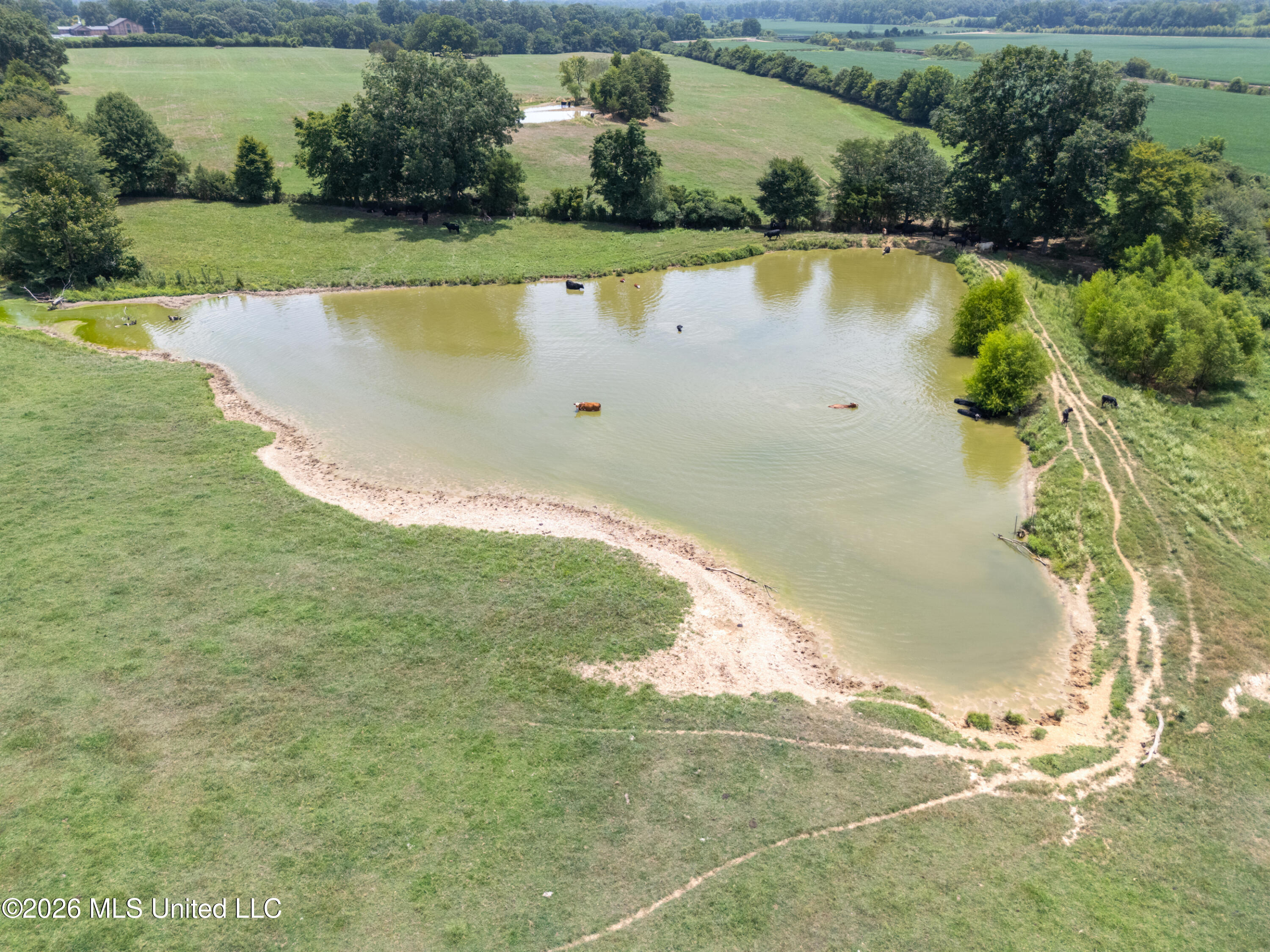 2300 Browns Ferry Road Senatobia, MS 38668 - Photo 54 of 70 52_second stop_018