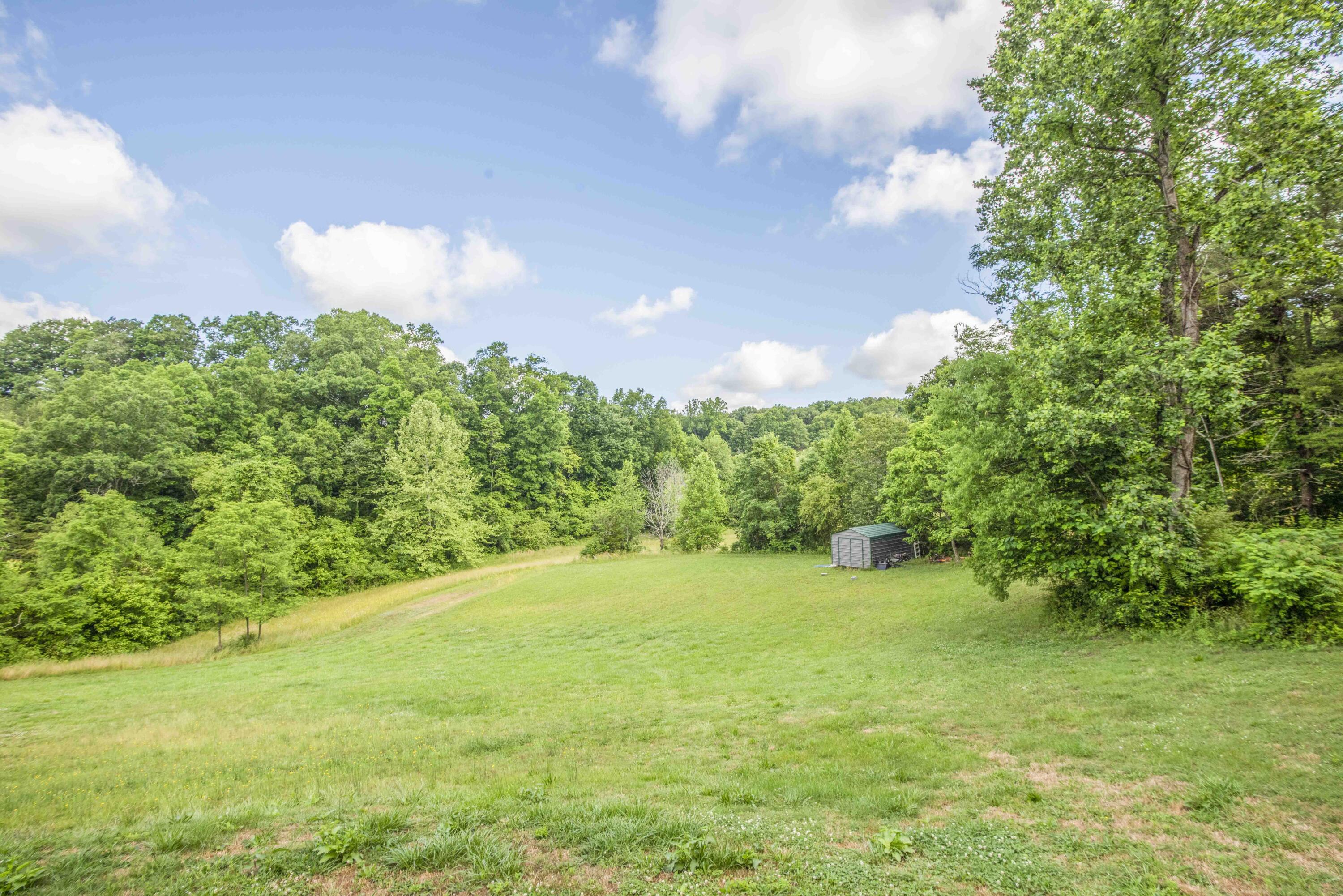 4110 Shipe Road Corryton, TN 37721 - Photo 13 of 29 yard_1