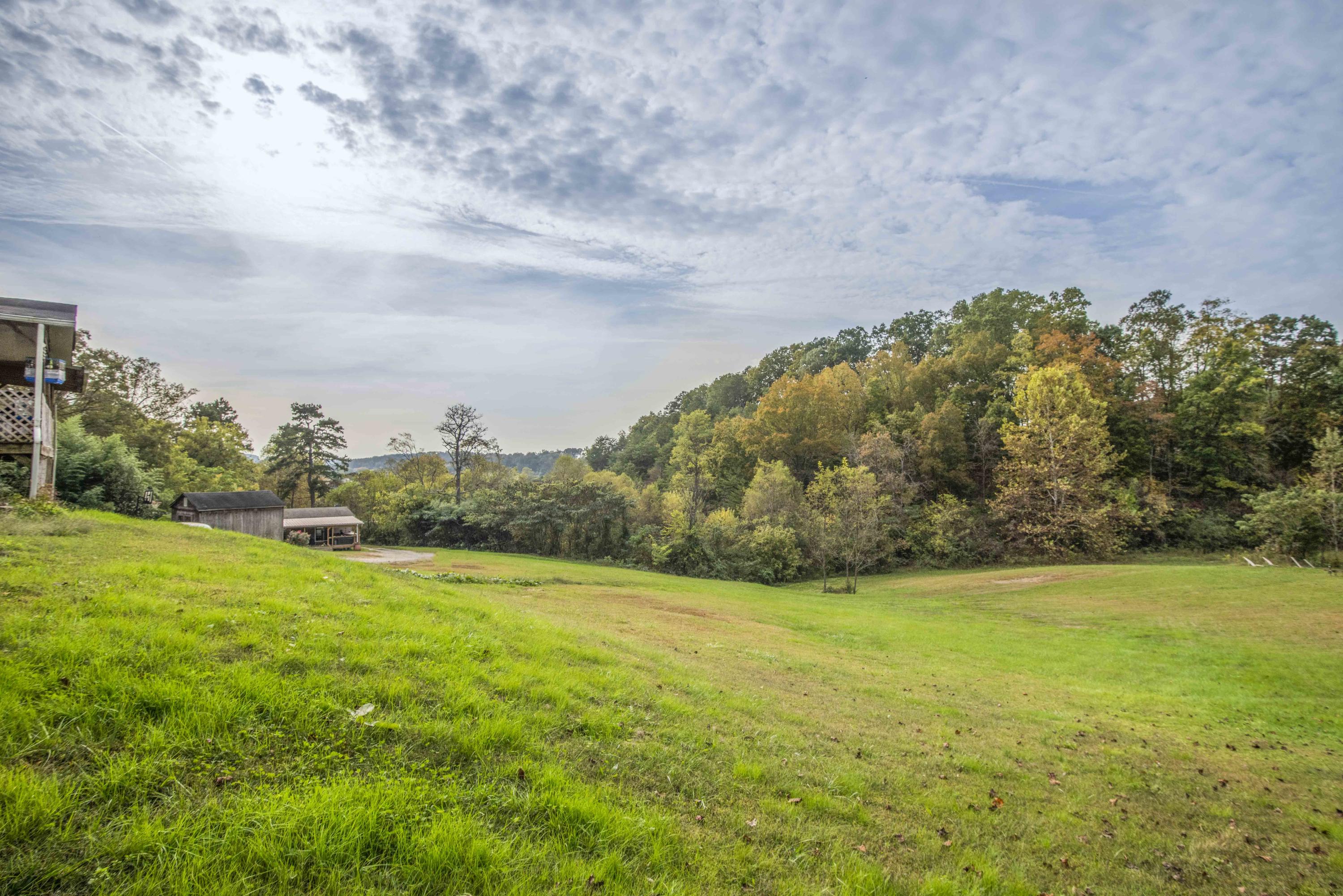 4110 Shipe Road Corryton, TN 37721 - Photo 5 of 29 yard 1_1