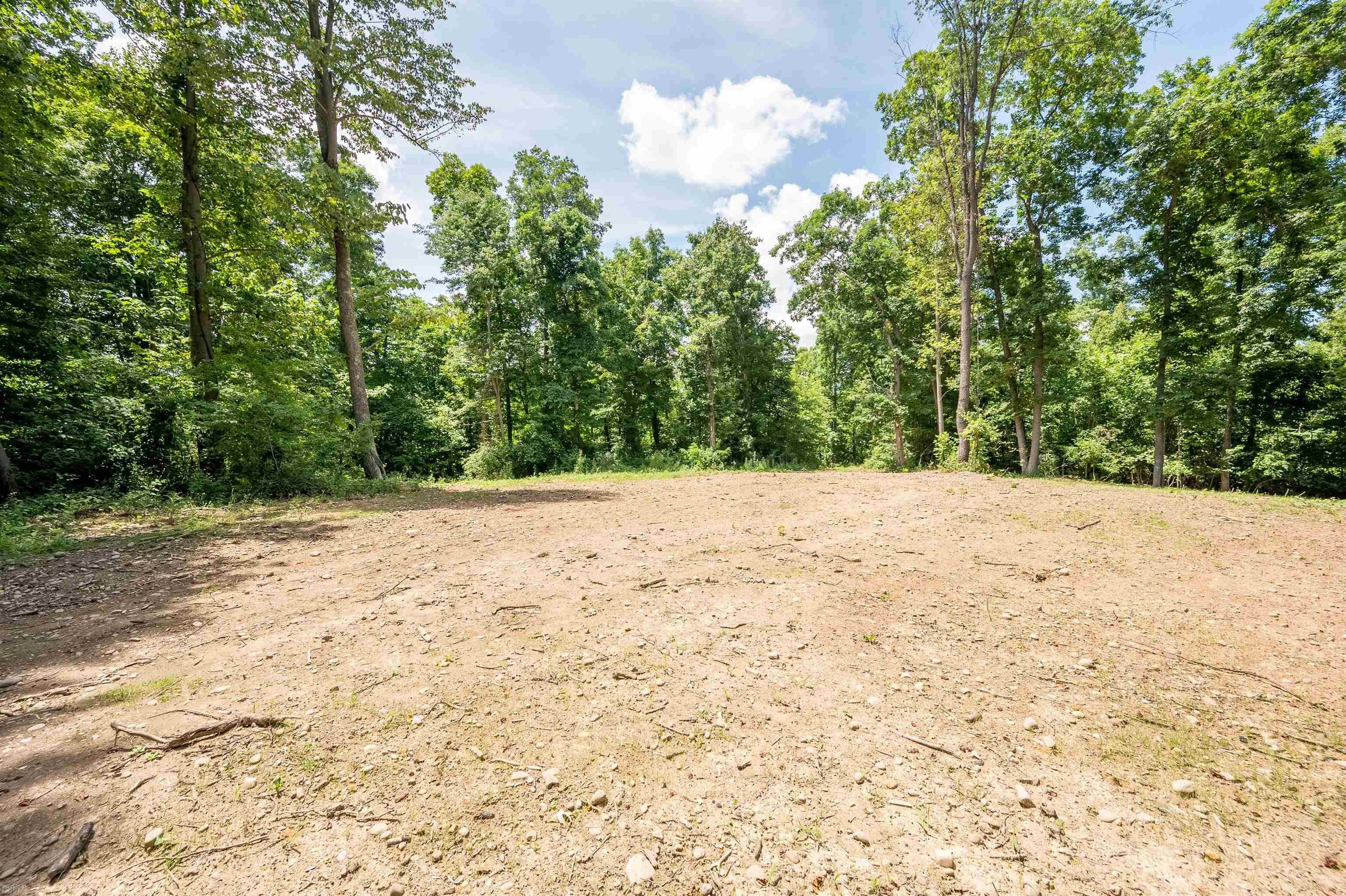 2252 Curve Road Pearisburg, VA 24134 - Photo 26 of 38 Gallery Image 26