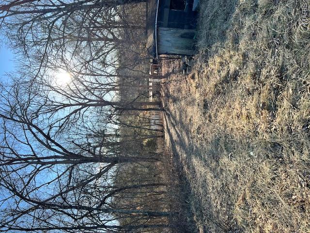 10827 Scout Camp Road Bismarck, MO 63624 - Photo 20 of 23