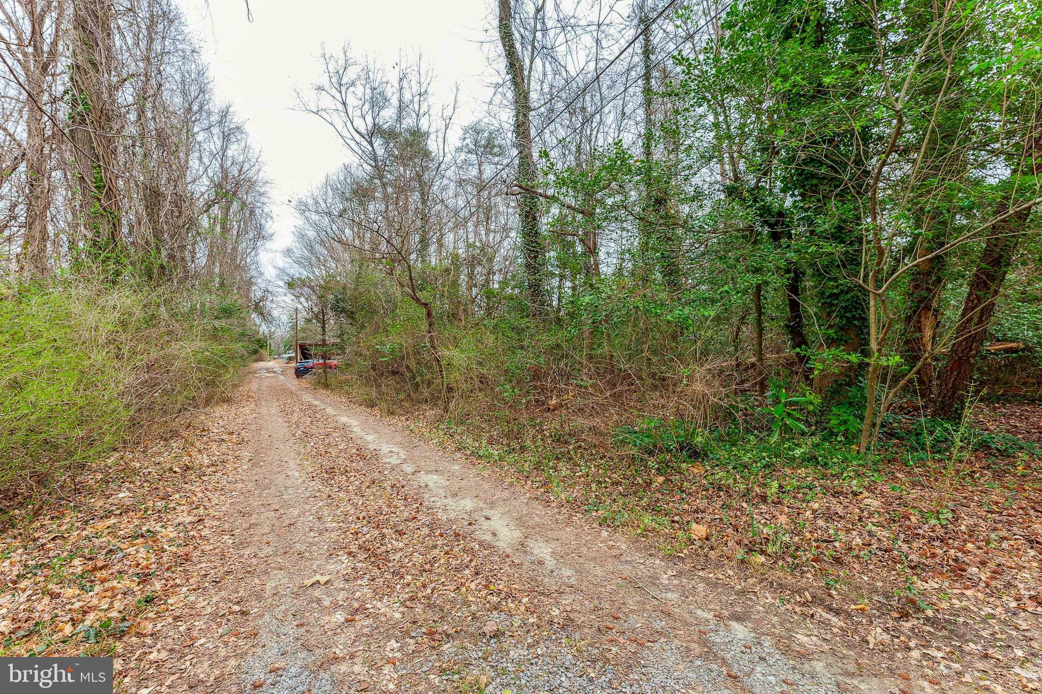 45150 Clarkes Landing Road Hollywood, MD 20636 - Photo 28 of 40 Driveway