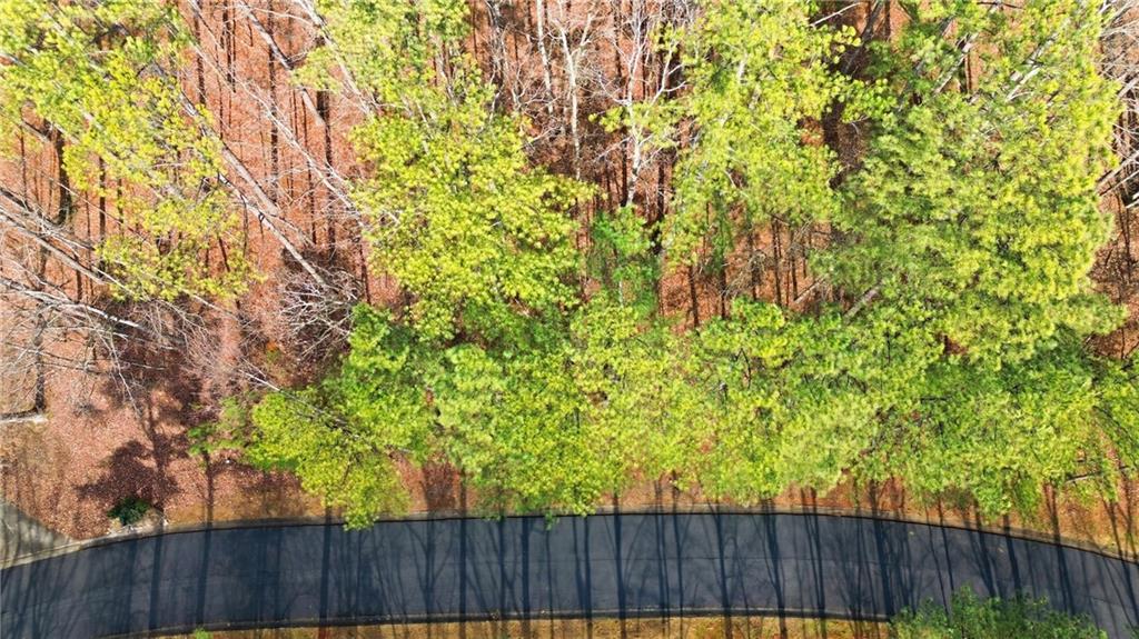 765 Plum Lane Clarkesville, GA 30523 - Photo 3 of 9