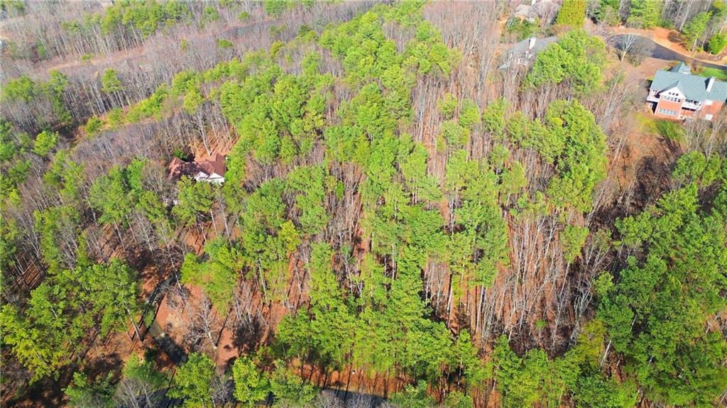 765 Plum Lane Clarkesville, GA 30523 - Photo 5 of 9