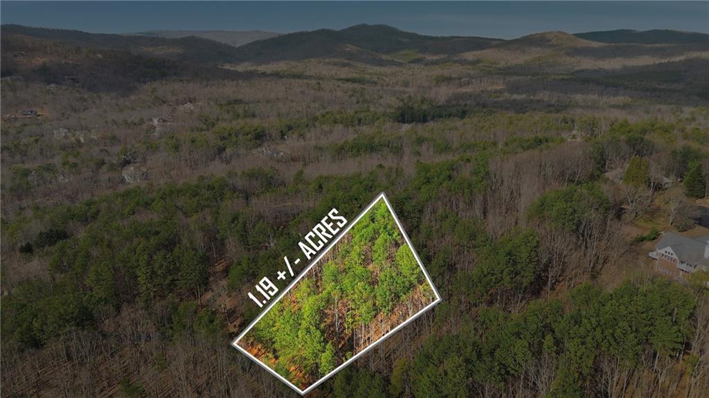 765 Plum Lane Clarkesville, GA 30523 - Photo 6 of 9