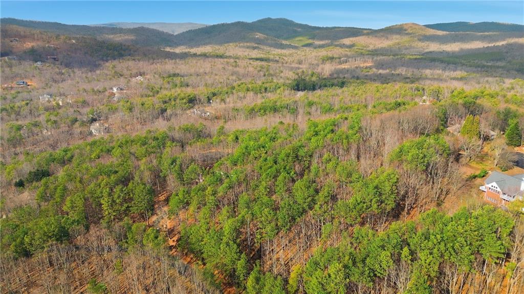 765 Plum Lane Clarkesville, GA 30523 - Photo 7 of 9