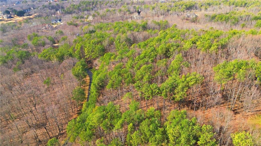 765 Plum Lane Clarkesville, GA 30523 - Photo 8 of 9