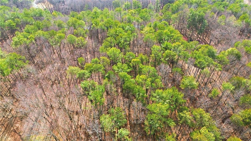 765 Plum Lane Clarkesville, GA 30523 - Photo 9 of 9