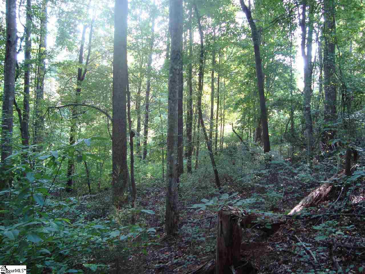 2390 A Buckhorn Road Greer, SC 29651 - Photo 4 of 9 Gallery Image 4