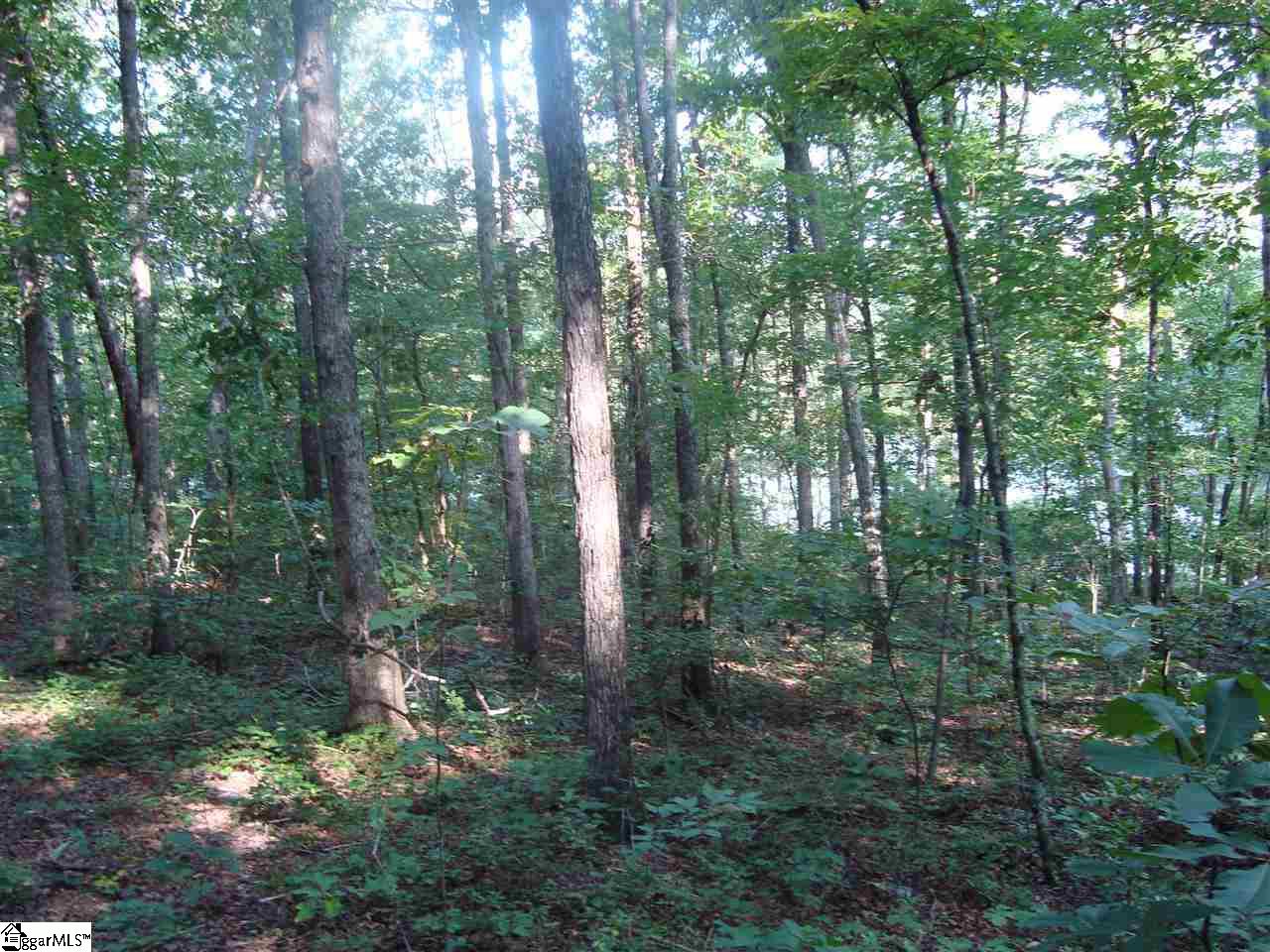 2390 A Buckhorn Road Greer, SC 29651 - Photo 6 of 9 Gallery Image 6