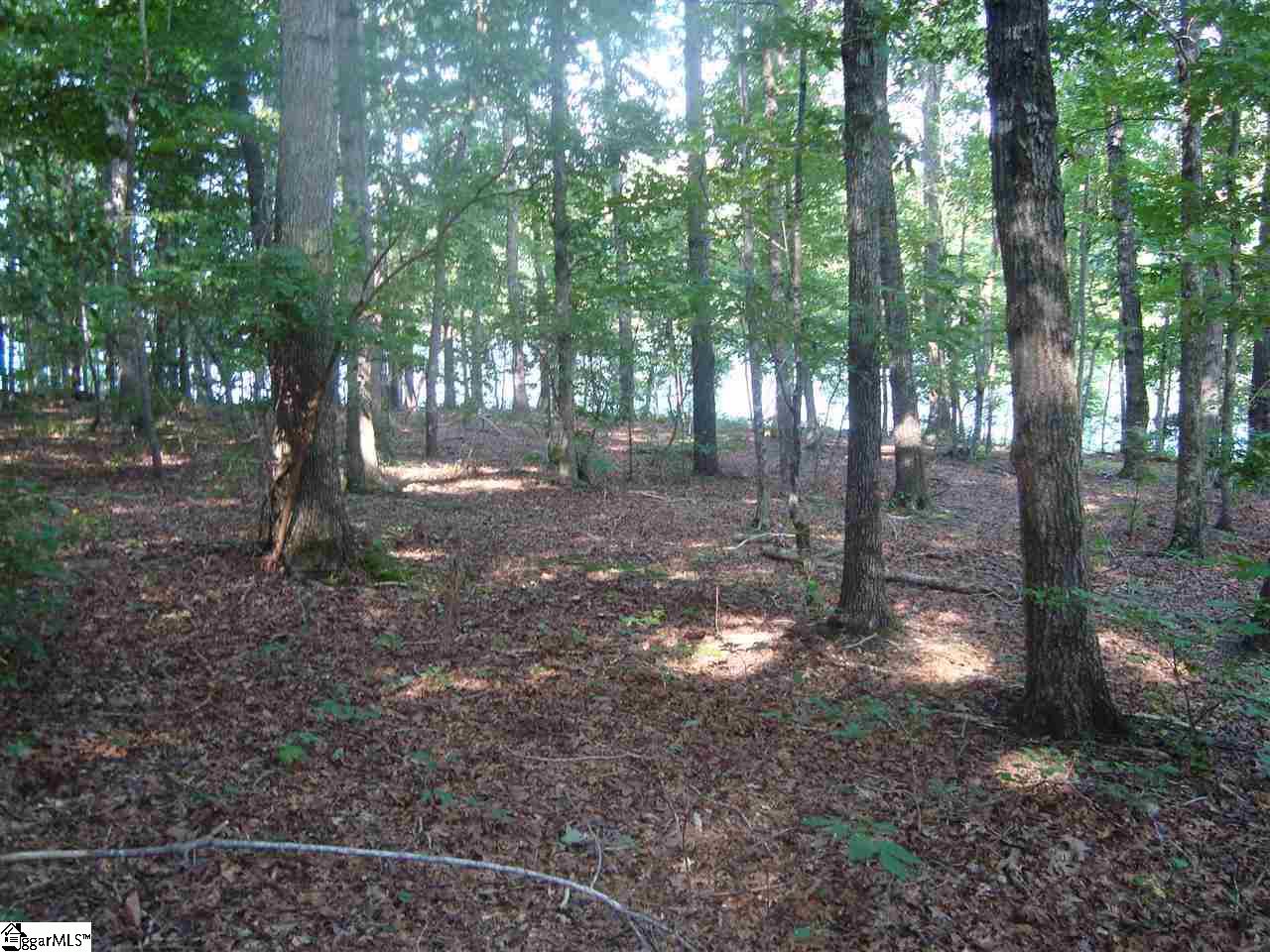 2390 A Buckhorn Road Greer, SC 29651 - Photo 7 of 9 Gallery Image 7