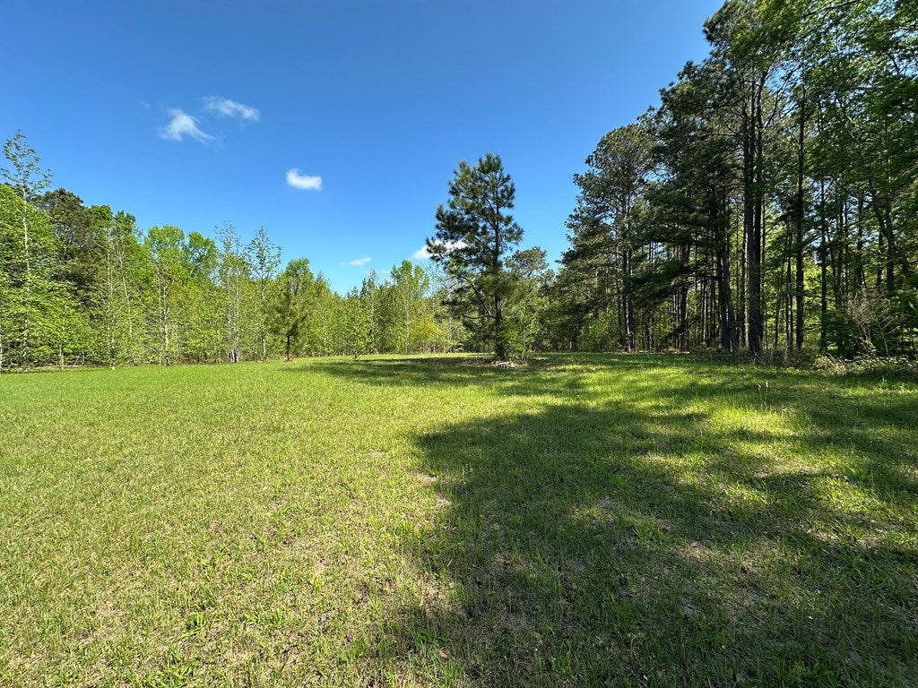 14246 Deepstep Road Sandersville, GA 31082 - Photo 8 of 57 Gallery Image 8