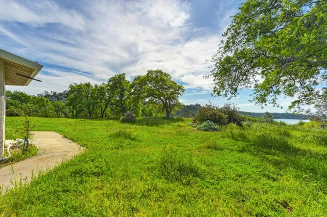 a view of a garden with lawn chairs