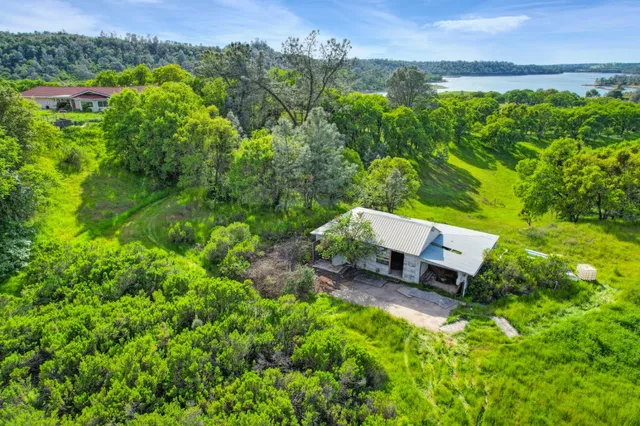 a garden view with a bench in the middle