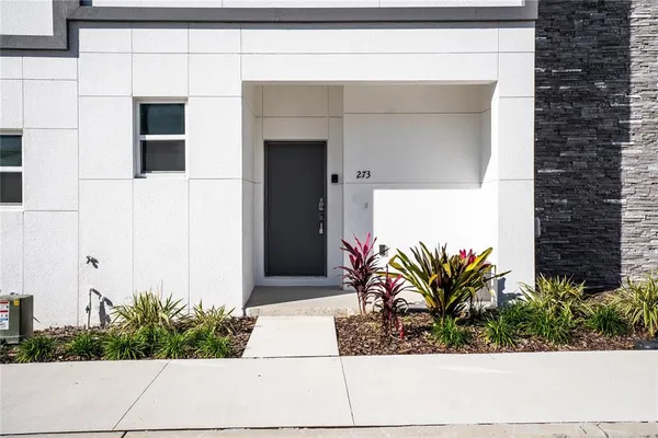 a potted plant sitting in front of a door