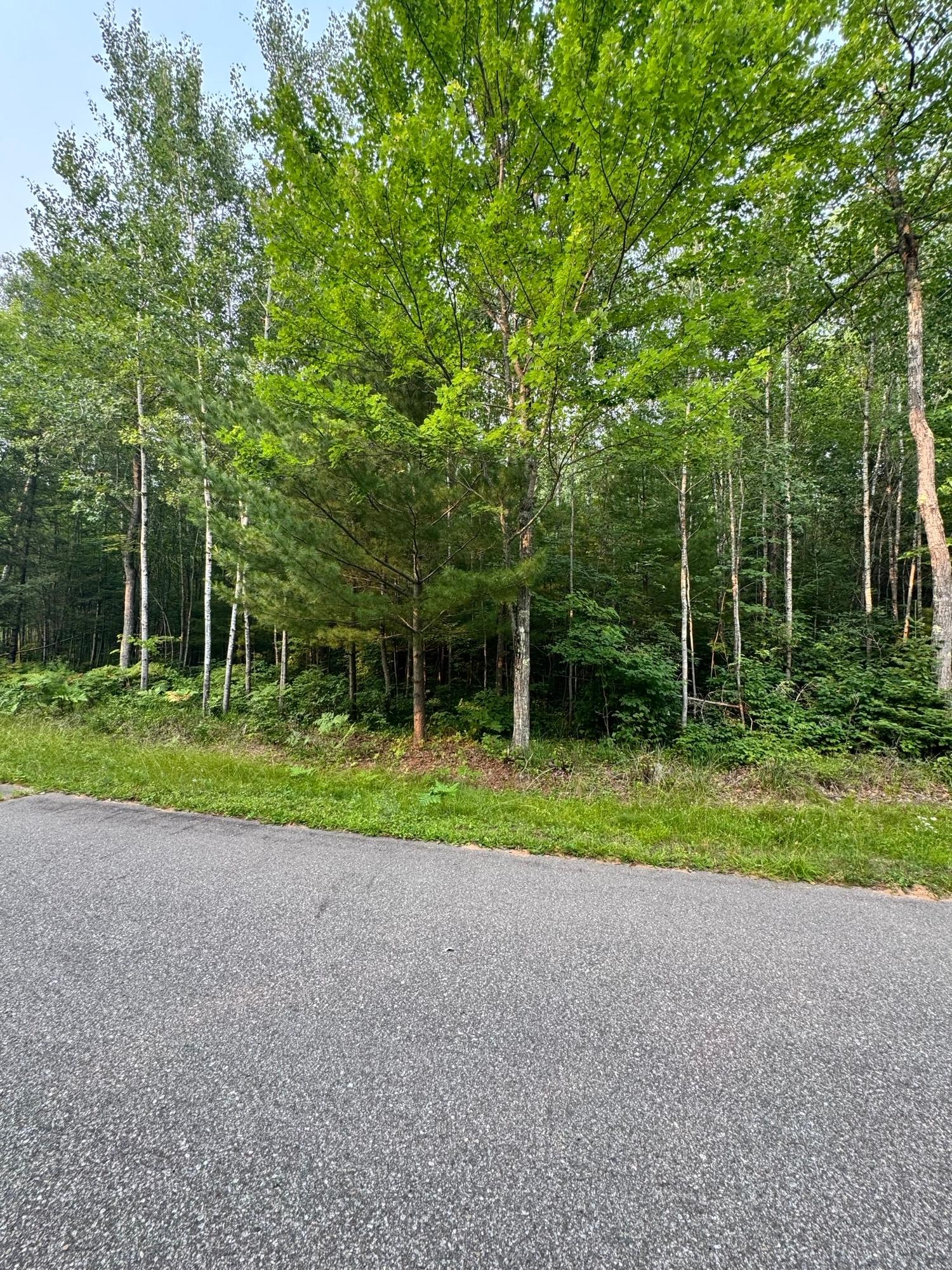 Lot 8 Oak Brook Road Eagle River, WI 54521 - Photo 5 of 7