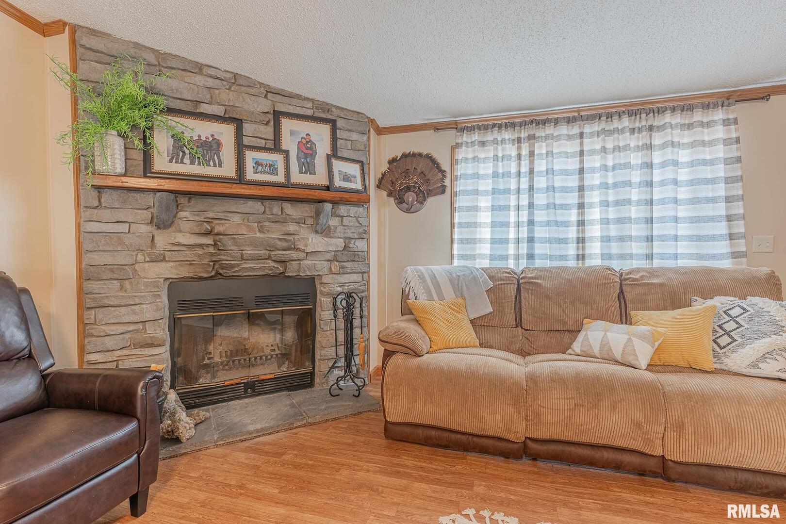 565 Dutton Chapel Road Herod, IL 62947 - Photo 38 of 54 a living room with furniture and a fireplace