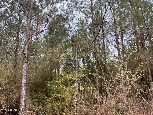 $39,000 | 699 Meadow Lane, Byram, MS 39272