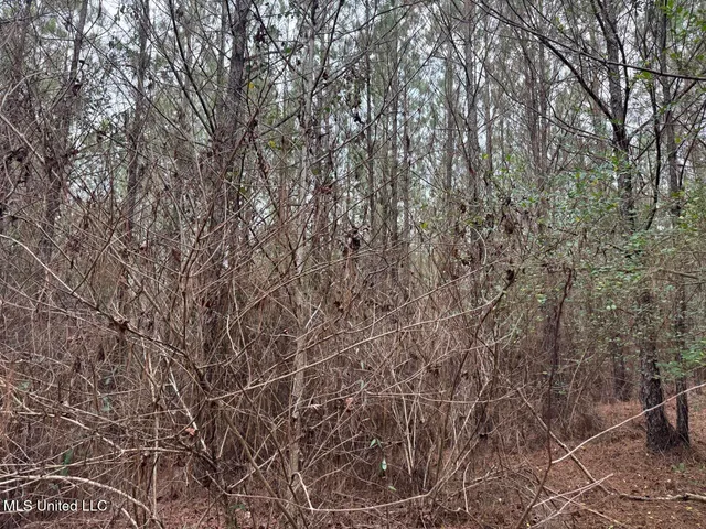 $39,000 | 699 Meadow Lane, Byram, MS 39272