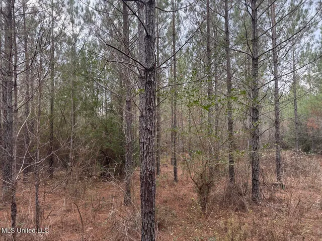 $39,000 | 699 Meadow Lane, Byram, MS 39272