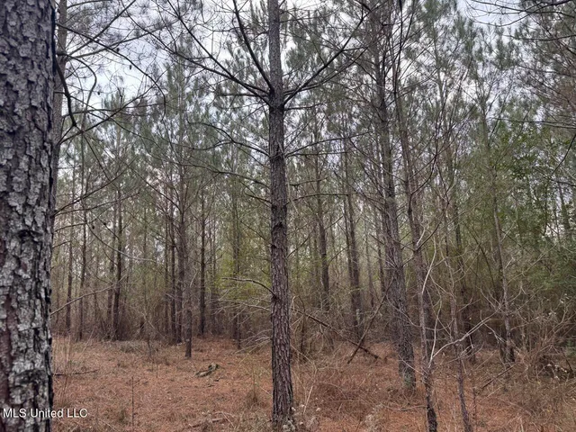 $39,000 | 699 Meadow Lane, Byram, MS 39272