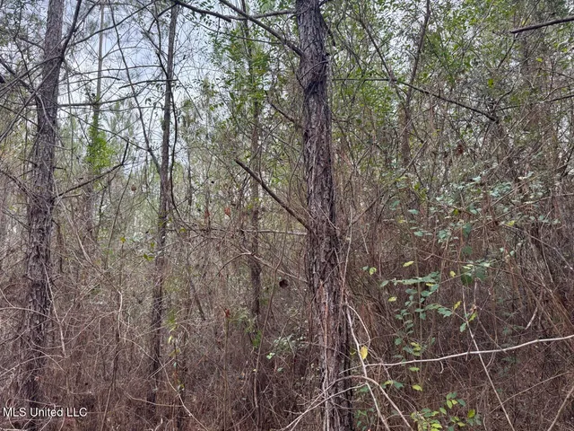 $39,000 | 699 Meadow Lane, Byram, MS 39272